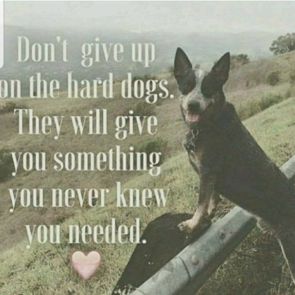 Please read - Picture 3 of 3